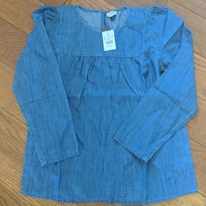 J. Crew Puff Sleeve Top